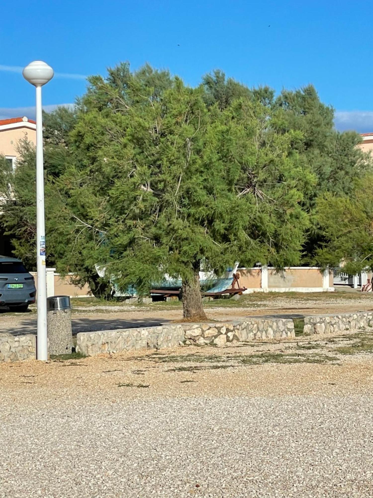 Apartman Boja Vir Exteriör bild